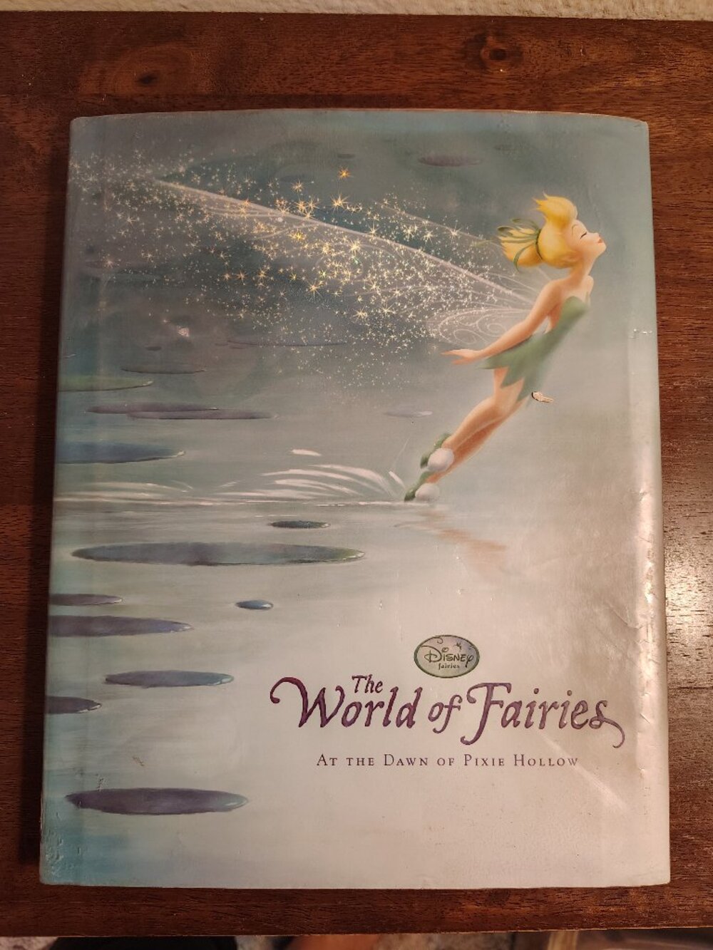Disney The World of Fairies At the Dawn Pixie Hollow Children's Book Hardcover